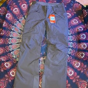 The north face ski and snow pant